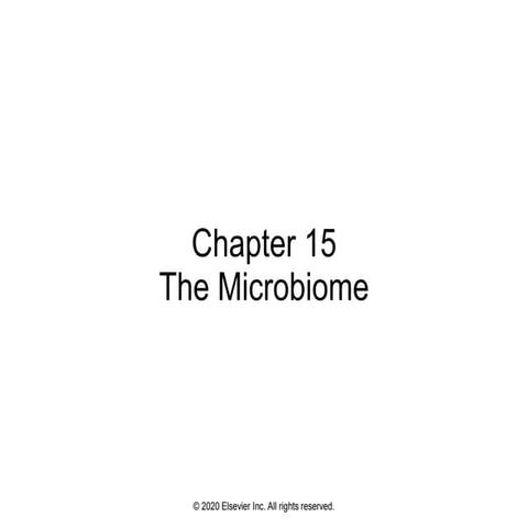 Chapter15.ppt