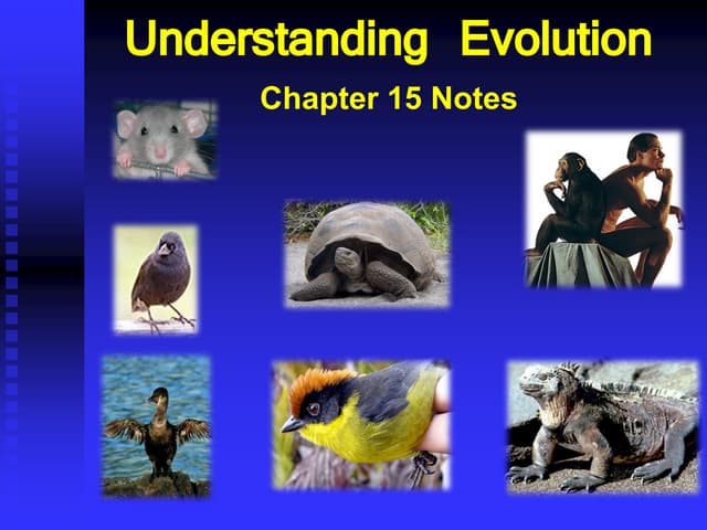 Chapter 15-Notes ppt Evolution of organisms