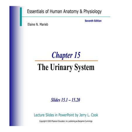 Anatomy and Physiology of Urinary System | PPT