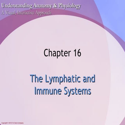Chapter16 - Lympatic and Immune Systems