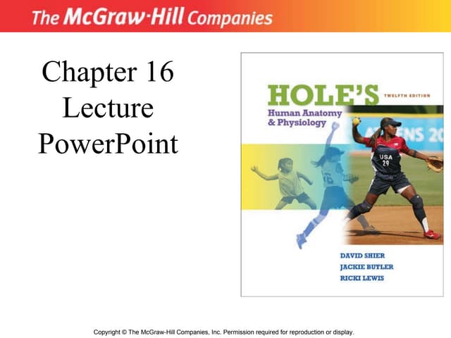 Chapter 16   Lymphatic System and Immunity