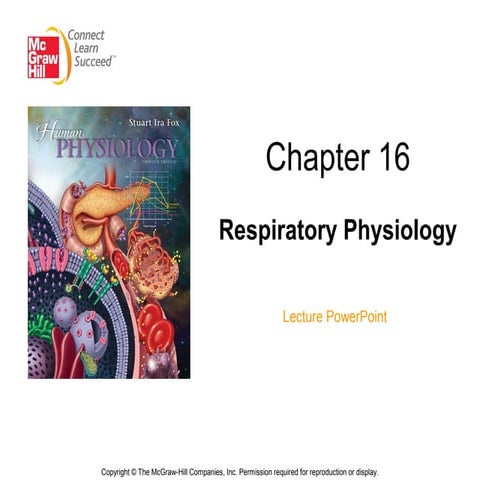 Chapter 16 lecture-1 | PPT | Lung and Respiratory Health | Diseases and ...