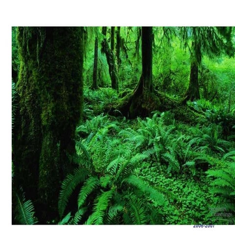 Chapter 16 lecture 1