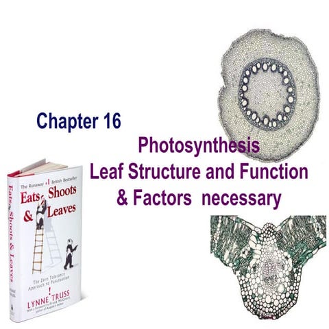 Chapter 16 lecture 3
