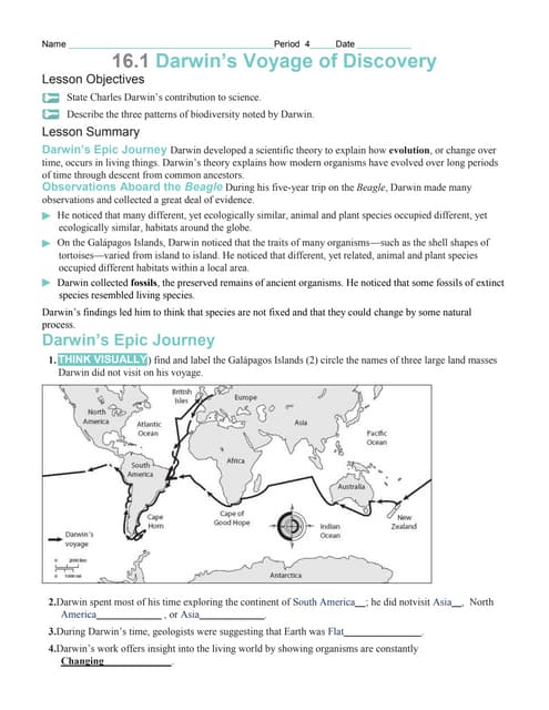 Chapter 16 worksheets