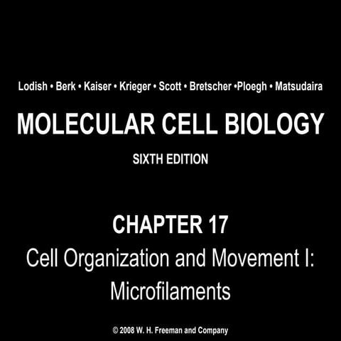 Chapter17 cellorganizationandmovementimicrofilaments-140105094810-phpapp02