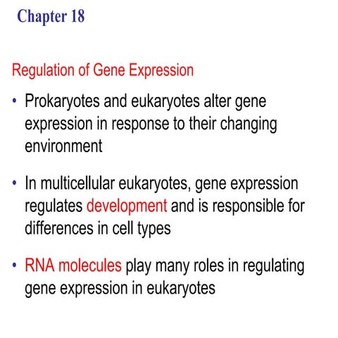 Chapter 18: Gene expression