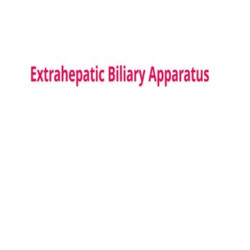 Extrahepatic Biliary Apparatus for medical students.pptx