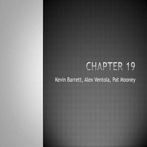 Chapter 19