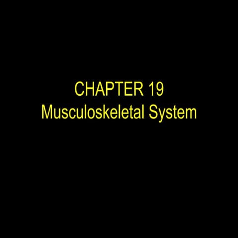 Chapter 19