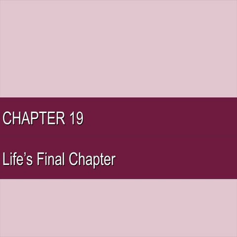 Chapter19 HDEV