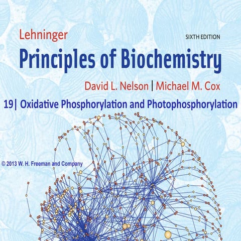 Chapter 19 - Oxidative Phosphorylation and Photophosphorylation- Biochemistry