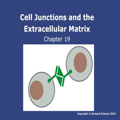 EXTRACELLULAR MATRIX AND ITS COMPONENTS | PPTX