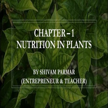 Chapter - 1, Nutrition in Plants, Science, Class 7 
