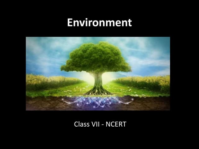 Environment - Class 7 - Geography (Social Studies)