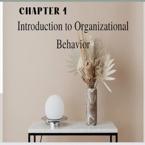 Introduction to Organisational Behaviour.pptx