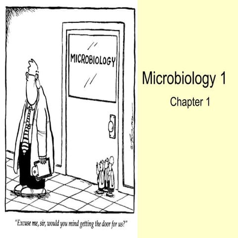 Chapter 1 main themes in microbiology