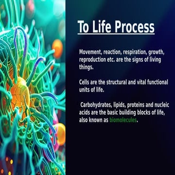 Cell processes | PPT