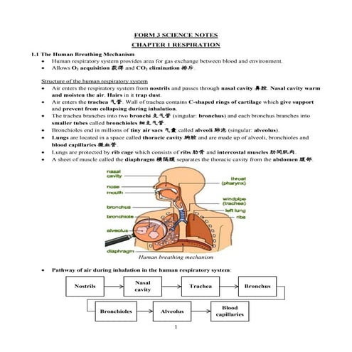 Chapter 1 Respiration