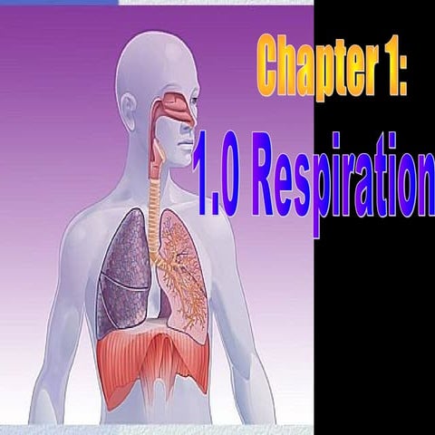 Chapter 1 respiration1