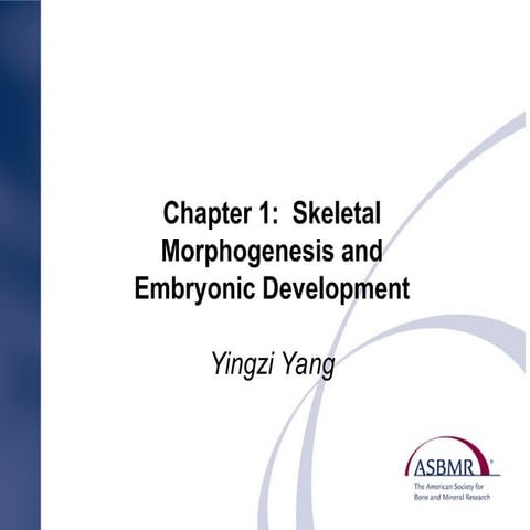 Chapter 1 Skeletal Morphogenesis and Embryonic Development.ppt
