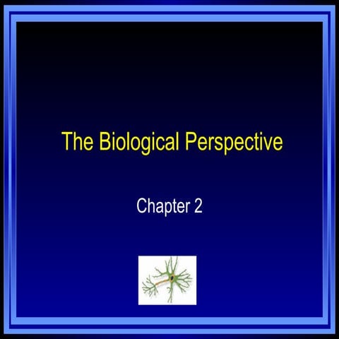 Chapter 2 | PPT