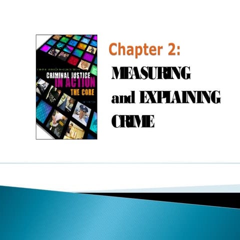 Chapter 2 Criminal Justice