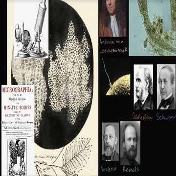 CELL AS A BASIC UNIT OF LIFE