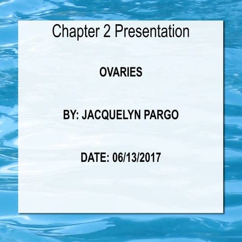 Chapter2 | PPT