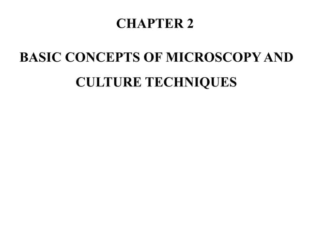 Chapter 2.pptx