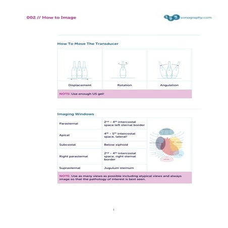 TEE VIEWS transesophageal echocardiography views.pptx