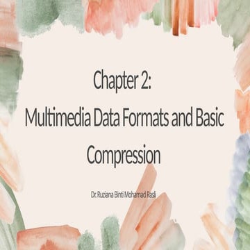 Chapter 2 - MM Data and Compression.pptx