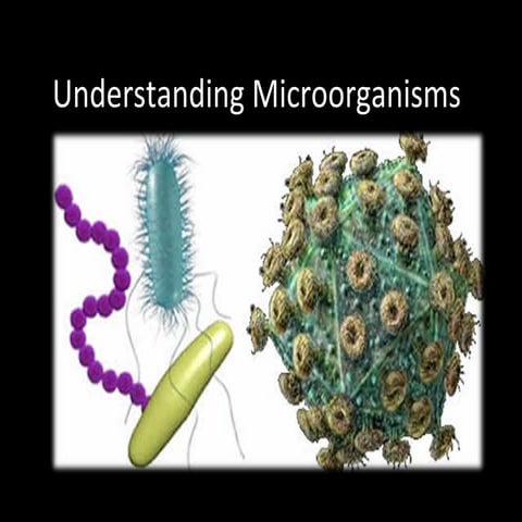 Chapter 2 Understanding Microorganisms | PPT