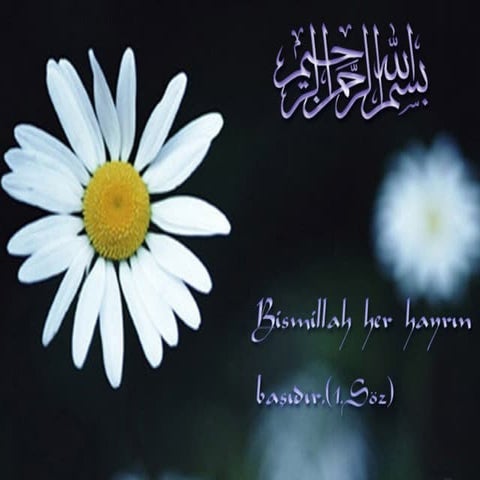 Chapter 2  wireless and personal communication systems