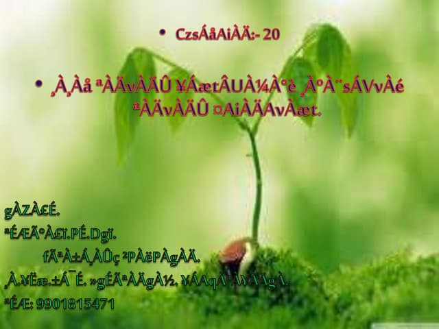 Chapter 20 control and co-ordination in plants and animals by mohan bio