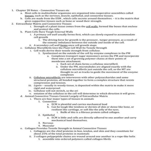Chapter 20 notes – connective tissues etc
