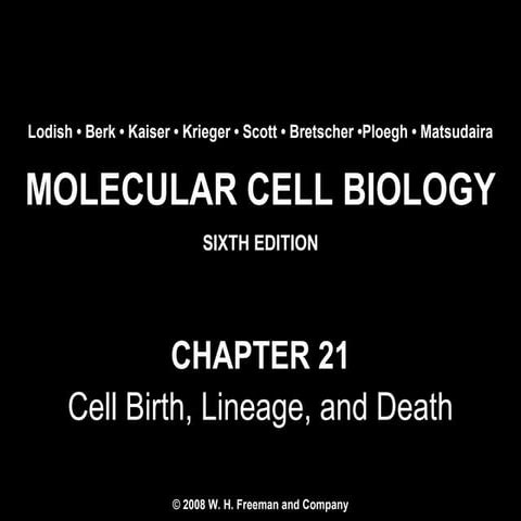 Chapter21 cellbirthlineageanddeath-140105095914-phpapp02