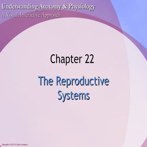 Chapter22 - Reproductive System