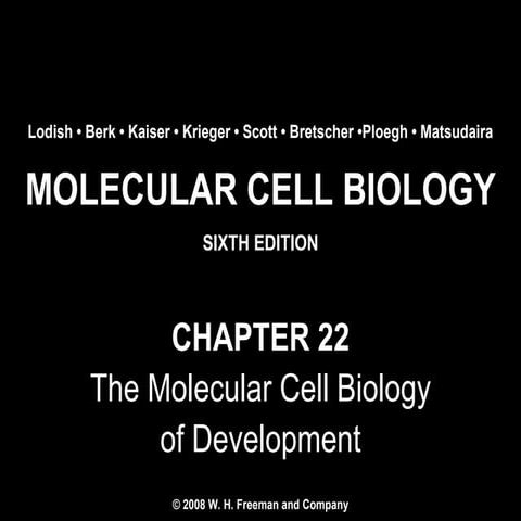 Molecular Cell Biology Lodish 6th.ppt - Chapter 22   the molecular cell biolo...