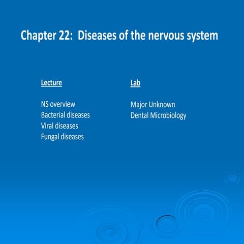 Chapter 22 PPT spring pdf.pdfChapter 22 PPT spring pdf.pdf