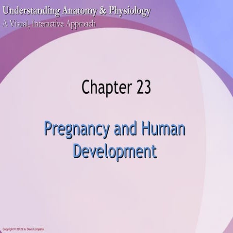 Chapter23 - Pregnancy and Development