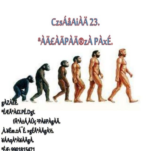 Chapter 23 human evolution.
