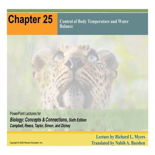 Chapter 25:  Excretion [compatibility mode]