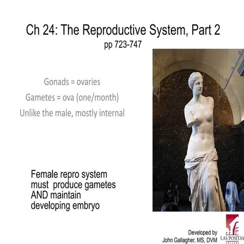 Chapter25 reprofemalemarieb