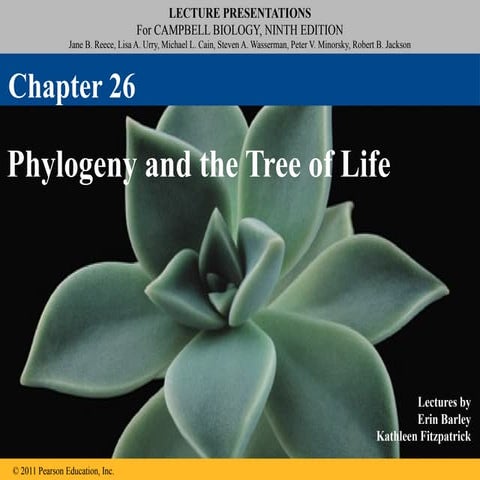 GENERAL BIOL Chapter 26 - Phylogeny.pptx