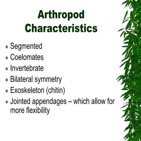 Chapter 26 notes Arthropods.ppt