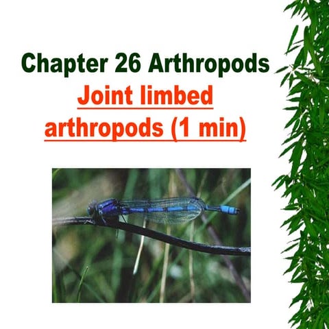 Chapter 26 notes Arthropods.ppt