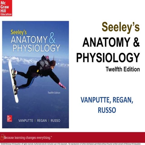 chapter 28 Reproductive System Power Point