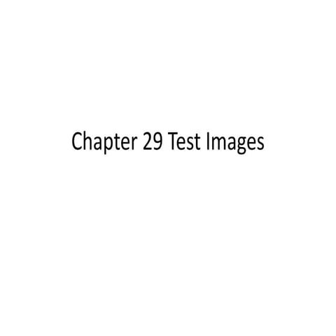 Chapter 29 take home test images