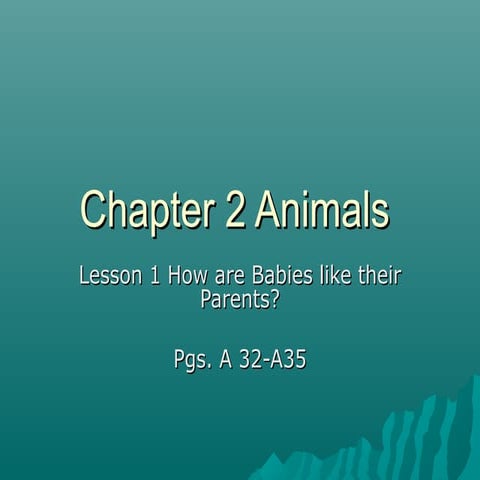 Chapter 2 Animals Where they live and How they get food | PPT